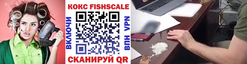 Купить закладки  Пионерский  Кокаин Fish Scale 