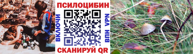 Галлюциногенные грибы ЛСД  Купить закладки  Пионерский 