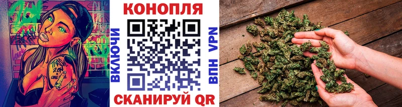Купить закладки  Пионерский  Бошки Шишки индика 